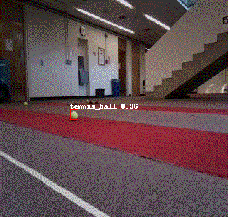 tennis_ball_gif